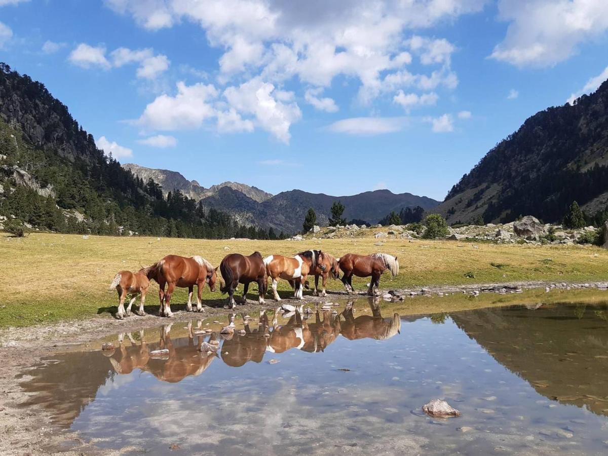 Studio Cauterets, 1 pièce, 4 personnes - FR-1-234-249 Esterno foto